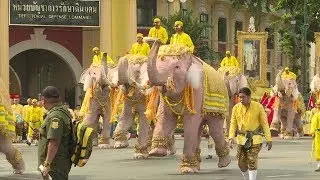 Elephants pay homage to Thailands new king