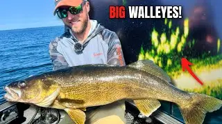 INSANE Walleye Bite on Green Bay!! (Sharp Shooting BIG Schools)