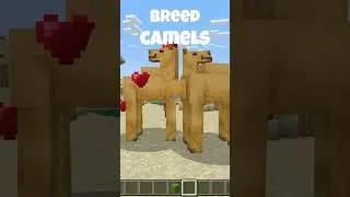 How to breed camels in minecraft