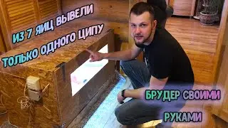 Брудер для цыплят своими руками | тестируем инкубатор