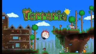 Terraria + 