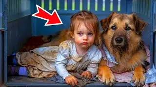 Drunk parents abandoned their daughter to dogs in the future. Then something incredible happened!