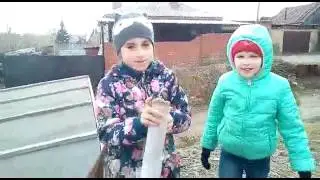 Челлендж распутайся с подругами