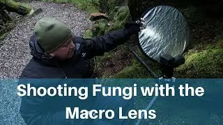 Wet Weather and Macro Fungi Photography In Tasmania