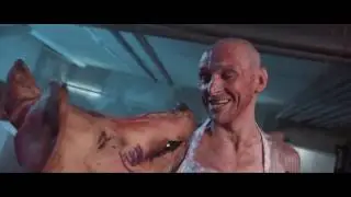 Новый клип Мопса Золотая Кость 26 02 17