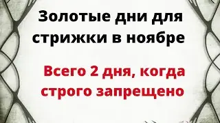 Золотые дни для стрижки в ноябре. Всего 2 дня, когда строго запрещено.