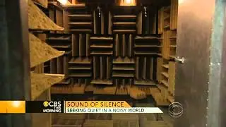 Absolute silence: How long would you last?