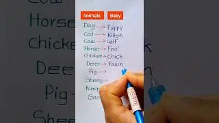 Animals and Their Baby Name || Animals Baby Name list #shortvideo