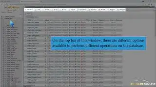 How to export database table via phpMyAdmin in cPanel with CloudSpace