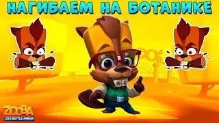 БОБЁР БЕТСИ - НАГИБАЕМ РАНДОМ НА БОТАНИКЕ В ИГРЕ ZOOBA