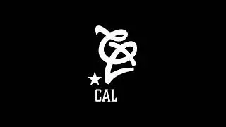 CALEE NEW STANDARD LOGO