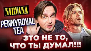 САМЫЕ ЗАГАДОЧНЫЕ ТЕКСТЫ NIRVANA. Pennyroyal Tea и другие.