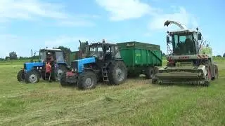 Заготовка кормов 2022 в СПК 