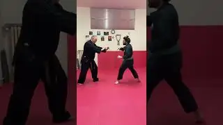 BUDOKAN AREZZO WSDA AREZZO ISRAELI JU-JITSU. MAESTRO 6° DAN LUCIO PICCIOLI ARTI MARZIALI MSP AREZZO
