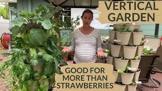 Small Space Container Vegetable Gardening