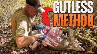 Gutless Field Dressing Method: Packing a Deer Out of the Woods