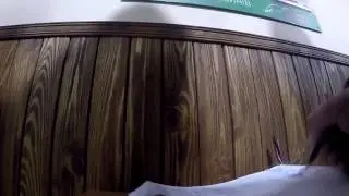 Снайпер Мопс или экстримальные развлечения дяди пса