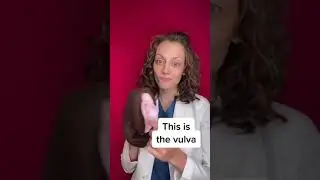 Vulva vs. vagina 