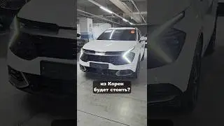 Сколько Стоит Привезти Kia Sportage из Кореи? [2025]  