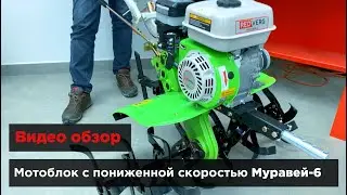 Мотоблок с пониженной скоростью Муравей-6. Обзор от RedVerg