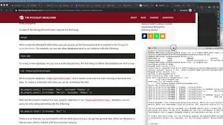 Installing mongodb as a docker container in mac os
