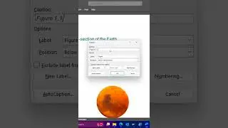 How to Add Caption in Microsoft Word ##msoffice #microsoft #microsoftword #Caption