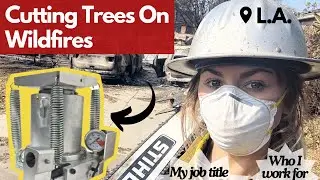 Working On Wildfires As A Timber Faller | Feat. My Time In L.A.