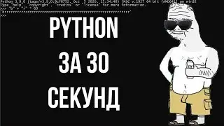 Вся суть программирования на Python