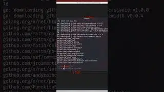 How to install recursebuster in Kali Linux