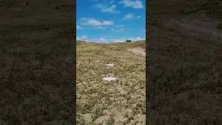 Mapping dune slacks with #drones