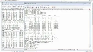 04.02-11_Oracle_10gR2_RACDG_4.2 Step11 Add RAC Standby Database and Instances to OCR(20120113.flv