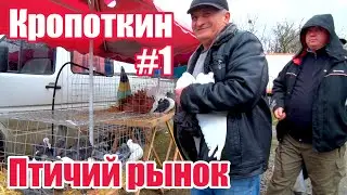 Птичий рынок. Кропоткин. Часть 1. [28.03.2021]