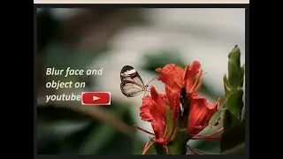 How To Blur ANYTHING In YouTube Editor 2020 (EASY)