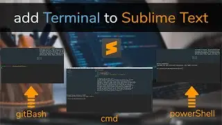 Two Ways To Add Terminal To Your Sublime Text - Darija