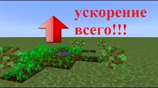 КАК УСКОРИТЬ РОСТ РАСТЕНИЙ СКОРОСТЬ ВСЕХ ПРОЦЕССОВ В МАЙНКРАФТ БЕЗ МОДОВ ОБЗОР НА RANDOMTICKSPEED