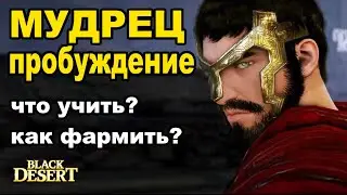 МУДРЕЦ Пробуждение: Скилы, морфы, ПВЕ - Фарм Кзарок с  244 атаки - Black Desert (MMORPG)