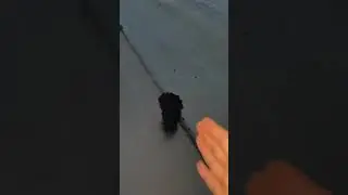 Влетел в яму на скорости 200 км/ч на БПАН😱😂