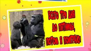 Прикол про Пятницу.♻️ [Olga Pak]