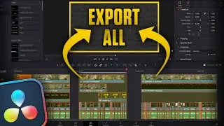How to Export Multiple Clips and Videos in DaVinci Resolve