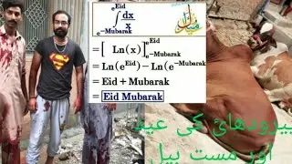 Fauji colony   min eid aor mast cow
