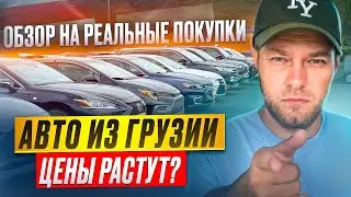 Цены на авто из ГРУЗИИ. Обзор РЕАЛЬНЫХ ПОКУПОК #19. Сентябрь 2024