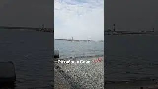октябрь в Сочи. пляжи Сочи. море Сочи @domvsochi #domvsochi #shorts