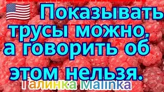 Лена Хеппи /Показывать трусы можно, а говорить о них нельзя /Обзор Влогов /