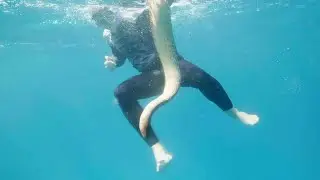 Bitten by a DEADLY Sea Snake!
