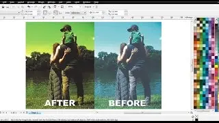 Cara Edit Auto Adjustment Colour Pada Foto di CorelDRAW | Belajar CorelDRAW