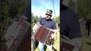 Гуляй Мужик Играй Гармонь #btr52 #секторгаза
