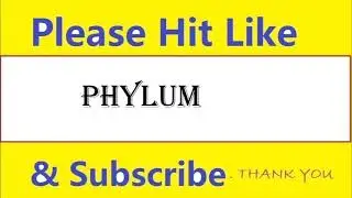 How to pronounce phylum