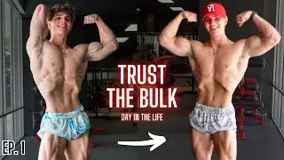 How To BULK The RIGHT WAY