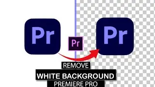 How To Remove white background from Image In Premiere Pro