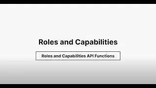 Role API and User Accessibility - Functions